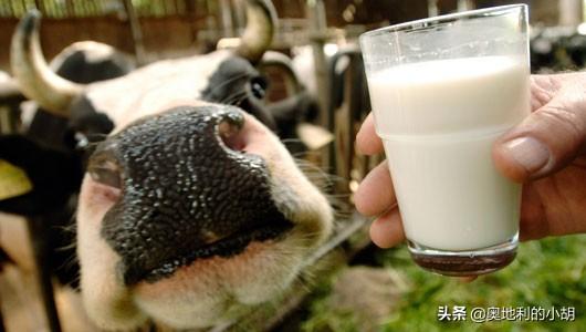 喝什么牛奶最好？