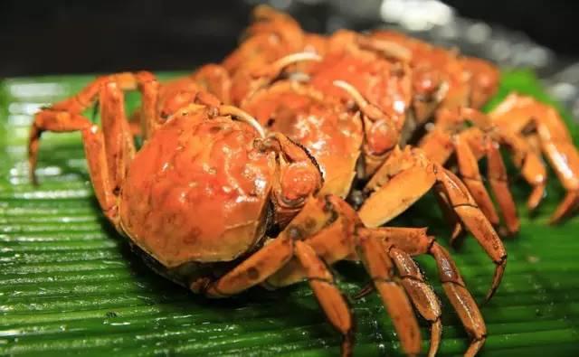 为什么烧好的蟹脚肉不能吸出来，螃蟹4个部位千万别吃