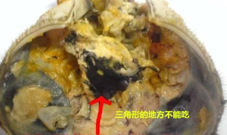 为什么烧好的蟹脚肉不能吸出来，螃蟹4个部位千万别吃