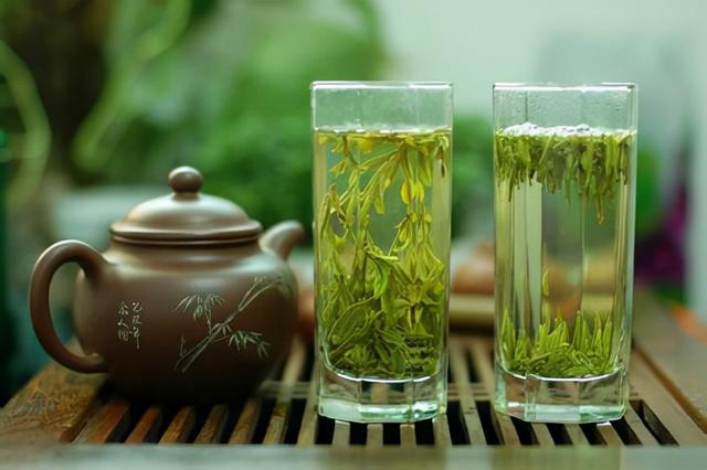绿茶可以加什么，绿茶可以加什么一起泡