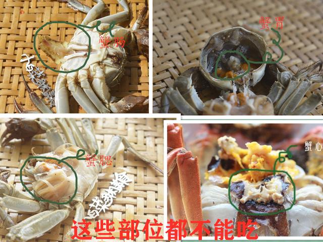 螃蟹可以与什么青菜同吃，螃蟹可以和什么青菜一起吃吗