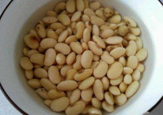 大豆煮熟发酵有什么作用，黄豆肥水怎样才算发酵好了