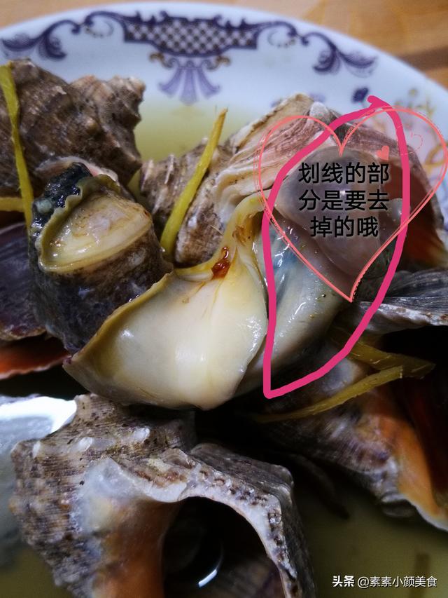 大海螺壳可以做成什么，鲍鱼螺是什么海鲜