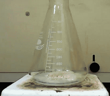 乌贼和氯化钠有什么反应，化学实验操作图片